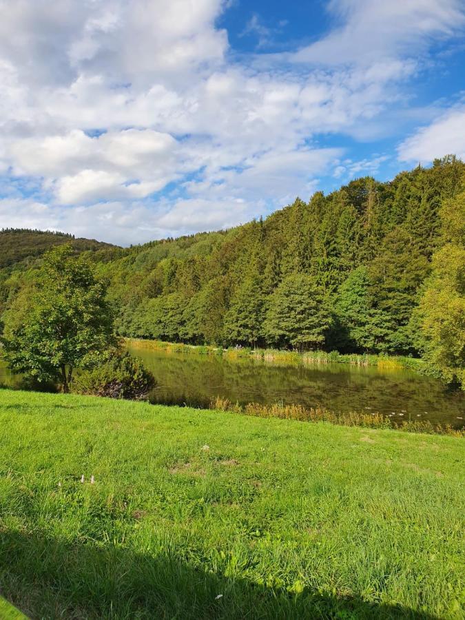 Ferienapartment Resi Willingen  Eksteriør bilde